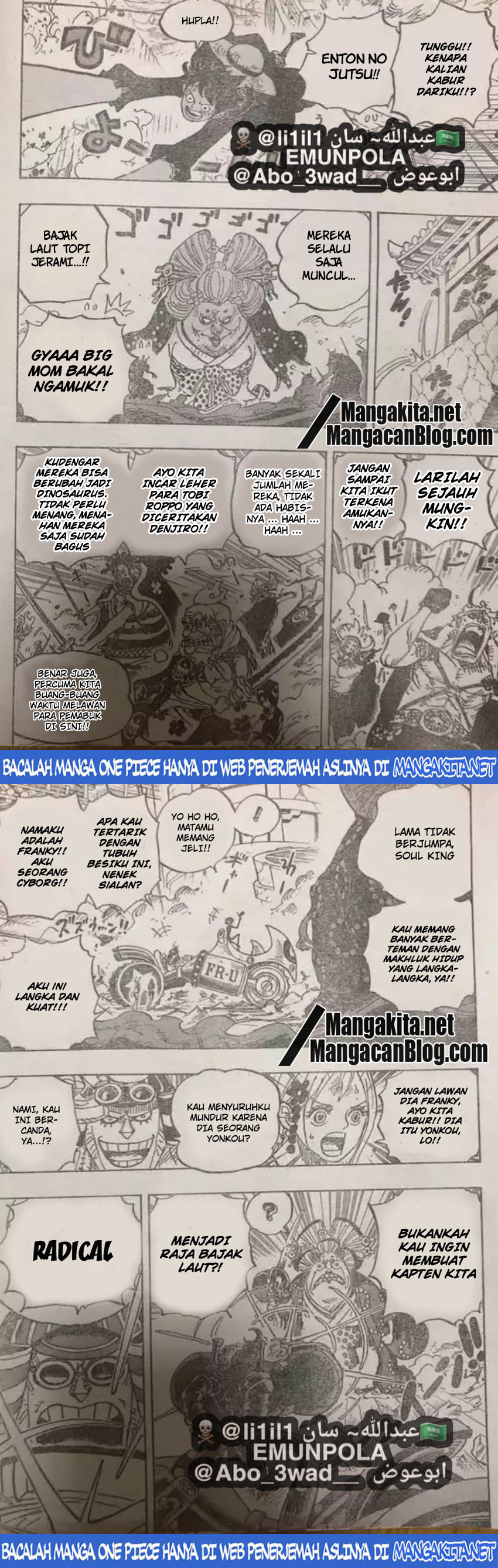 One Piece Chapter 989 (LQ)